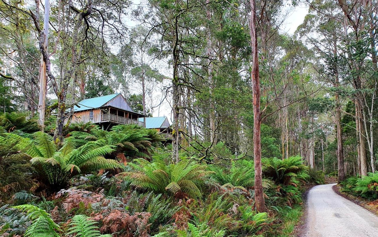 Lemonthyme Wilderness Retreat Hotel Moina Exterior photo